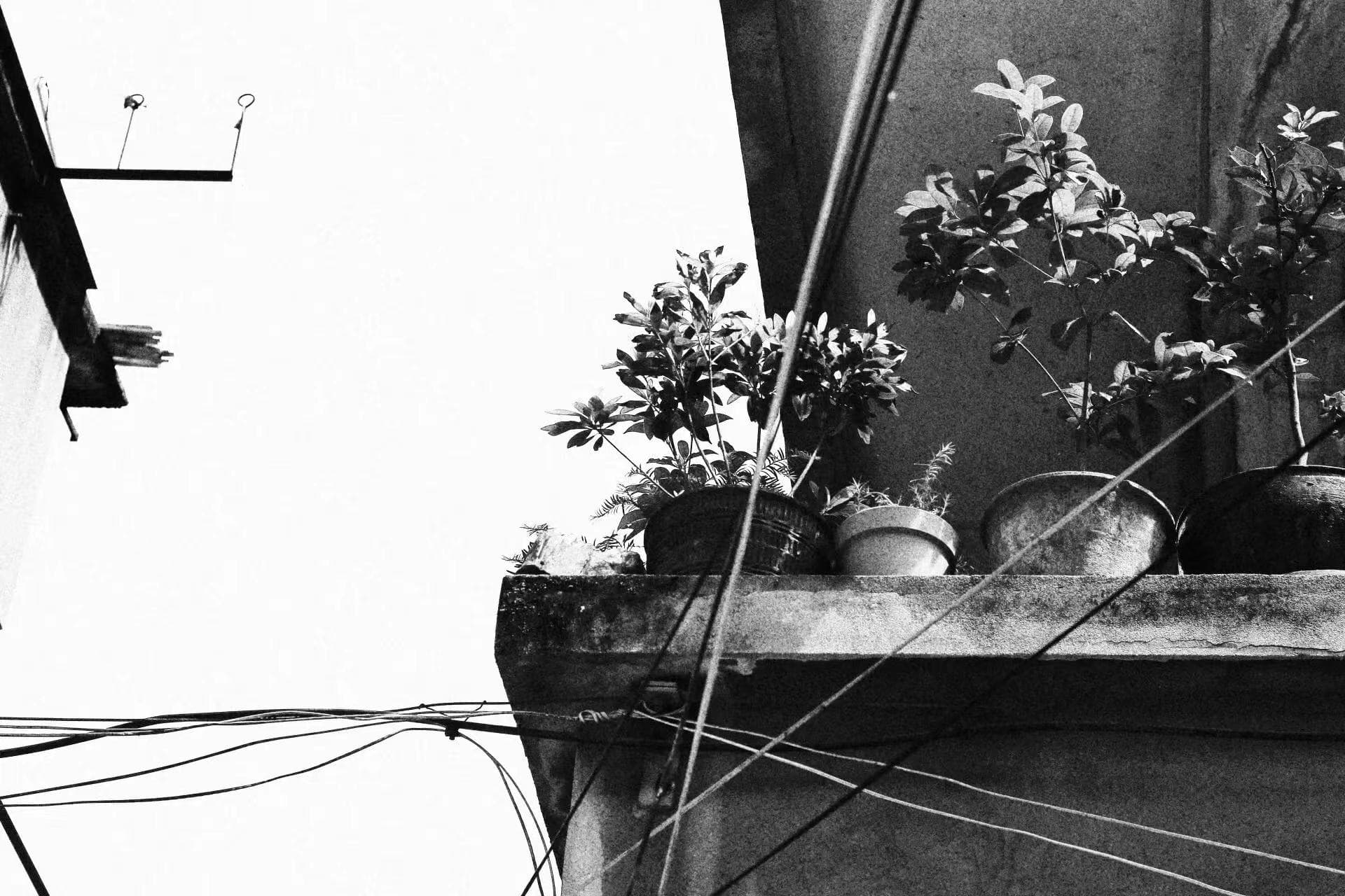 故事#03 | 再见六月